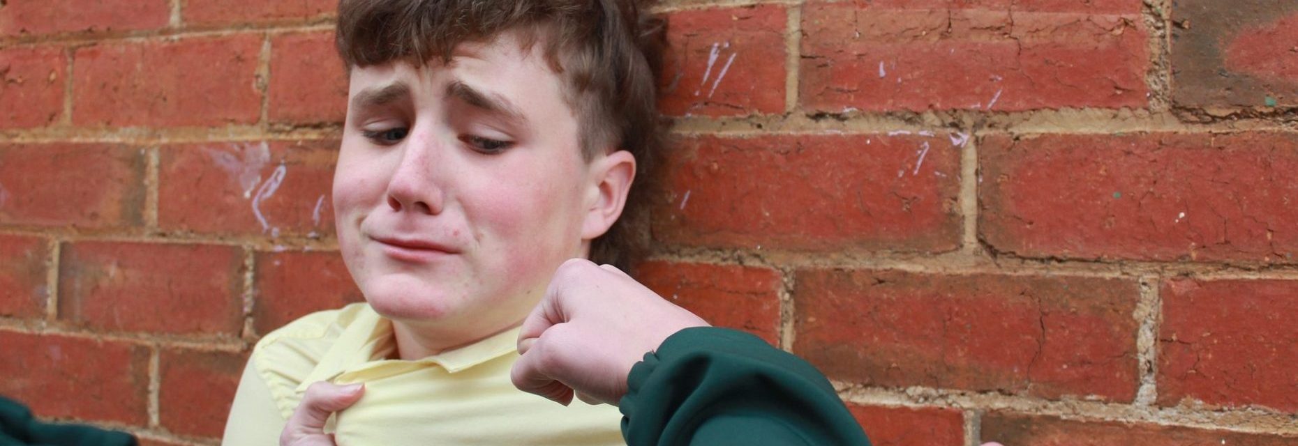 El bullying no es cosa de niños: un desafío para toda la sociedad